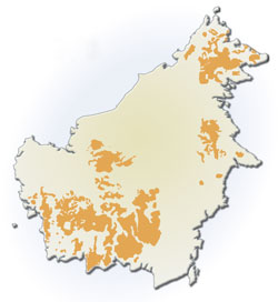 sumatran orangutan map